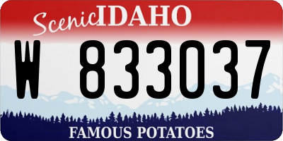 ID license plate W833037