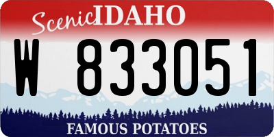 ID license plate W833051
