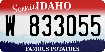 ID license plate W833055
