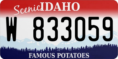 ID license plate W833059