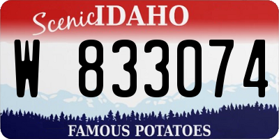ID license plate W833074