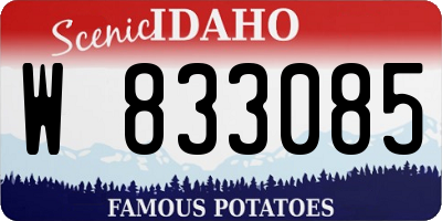 ID license plate W833085