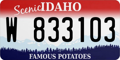 ID license plate W833103