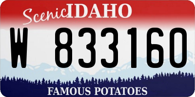 ID license plate W833160