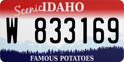 ID license plate W833169