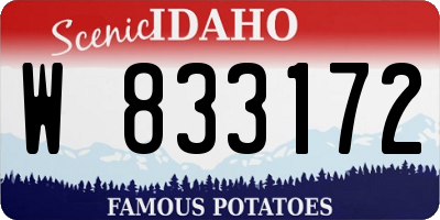 ID license plate W833172