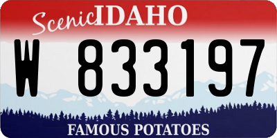 ID license plate W833197