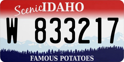 ID license plate W833217
