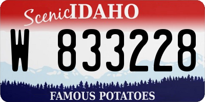 ID license plate W833228