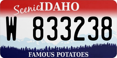 ID license plate W833238