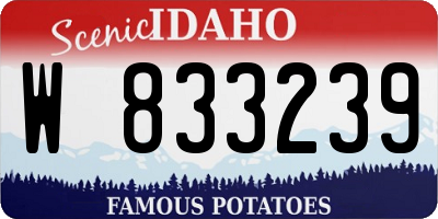 ID license plate W833239