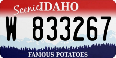 ID license plate W833267