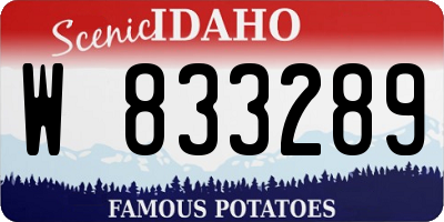 ID license plate W833289