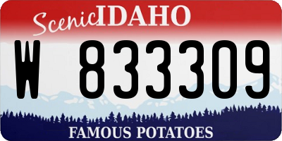 ID license plate W833309