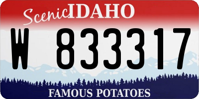 ID license plate W833317