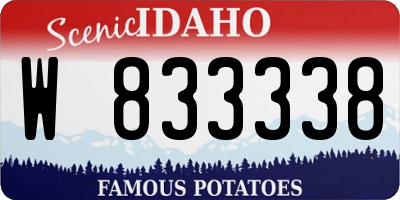 ID license plate W833338