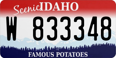 ID license plate W833348