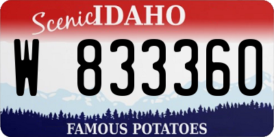 ID license plate W833360
