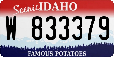 ID license plate W833379