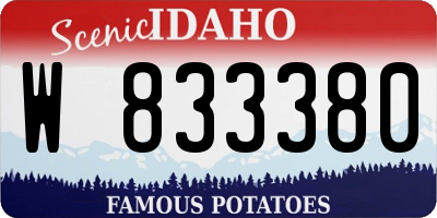 ID license plate W833380