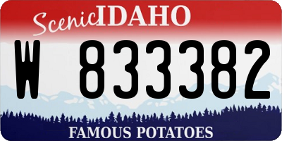 ID license plate W833382