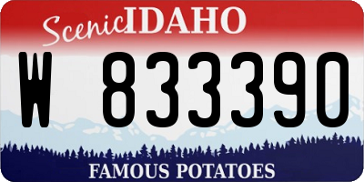 ID license plate W833390