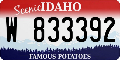 ID license plate W833392