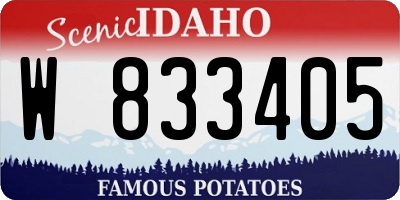 ID license plate W833405