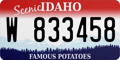 ID license plate W833458