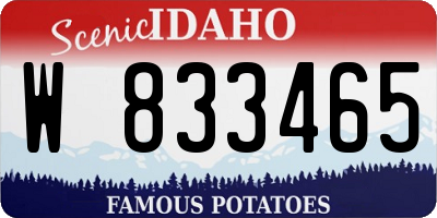 ID license plate W833465