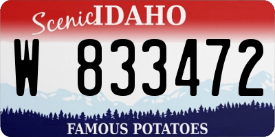 ID license plate W833472