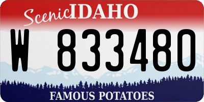 ID license plate W833480