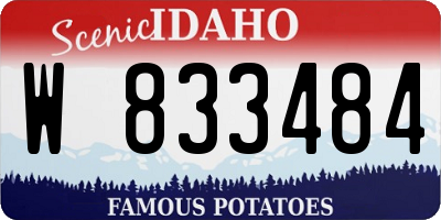 ID license plate W833484