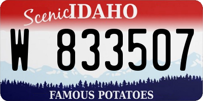 ID license plate W833507
