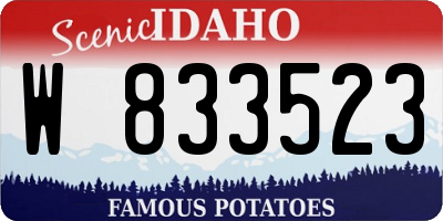 ID license plate W833523