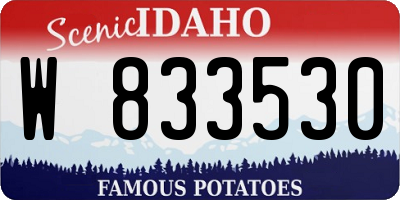 ID license plate W833530