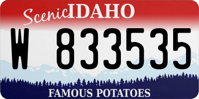 ID license plate W833535