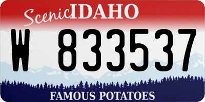 ID license plate W833537