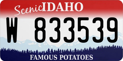 ID license plate W833539
