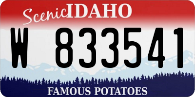 ID license plate W833541