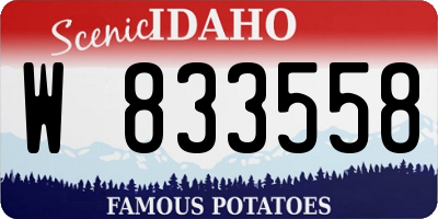 ID license plate W833558