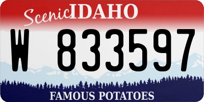 ID license plate W833597