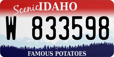 ID license plate W833598