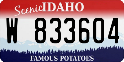 ID license plate W833604