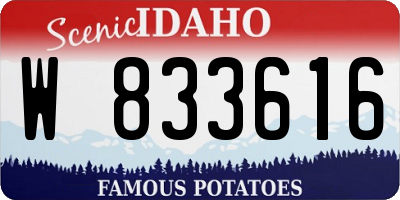 ID license plate W833616