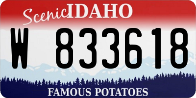 ID license plate W833618