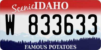 ID license plate W833633