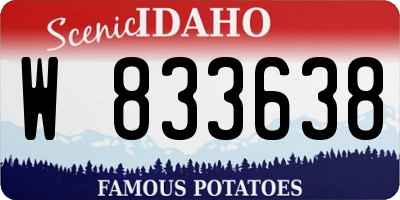 ID license plate W833638