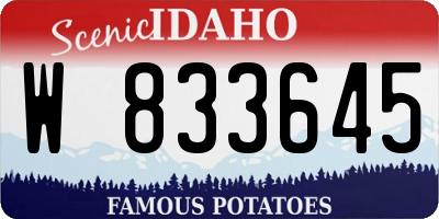 ID license plate W833645