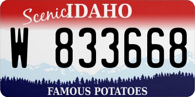 ID license plate W833668